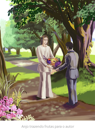 Anjo trazendo frutas para o autor